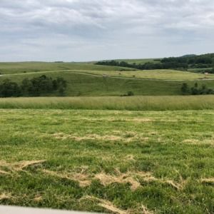 Meet your Posher, Chase